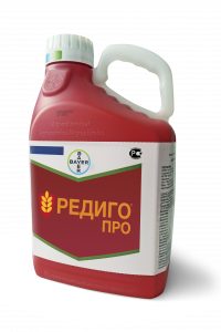 Редиго Про
