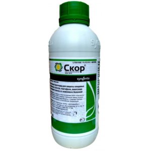Скор КЭ